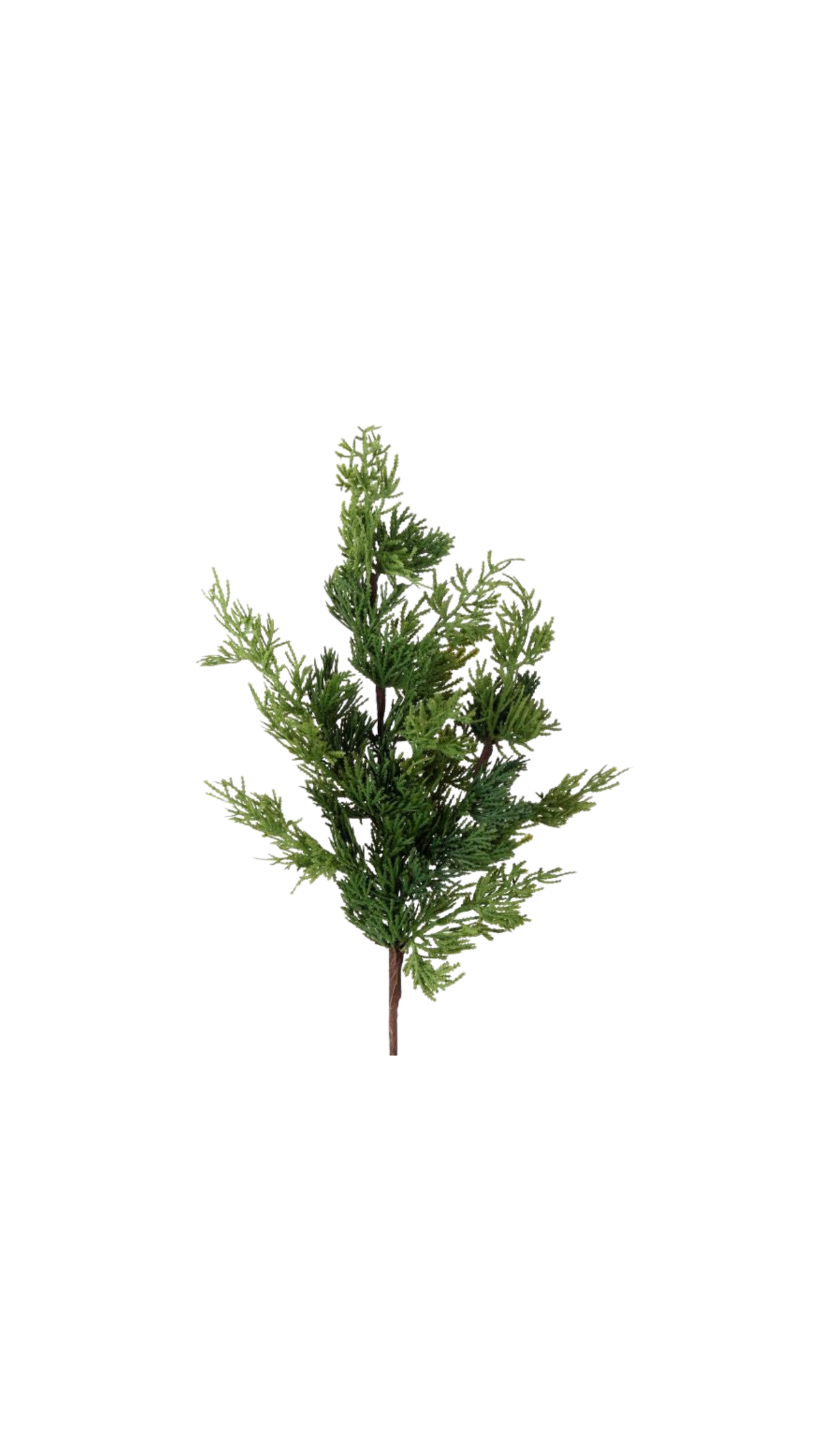 Real Touch Cedar Spray - Green (24"), full view on white