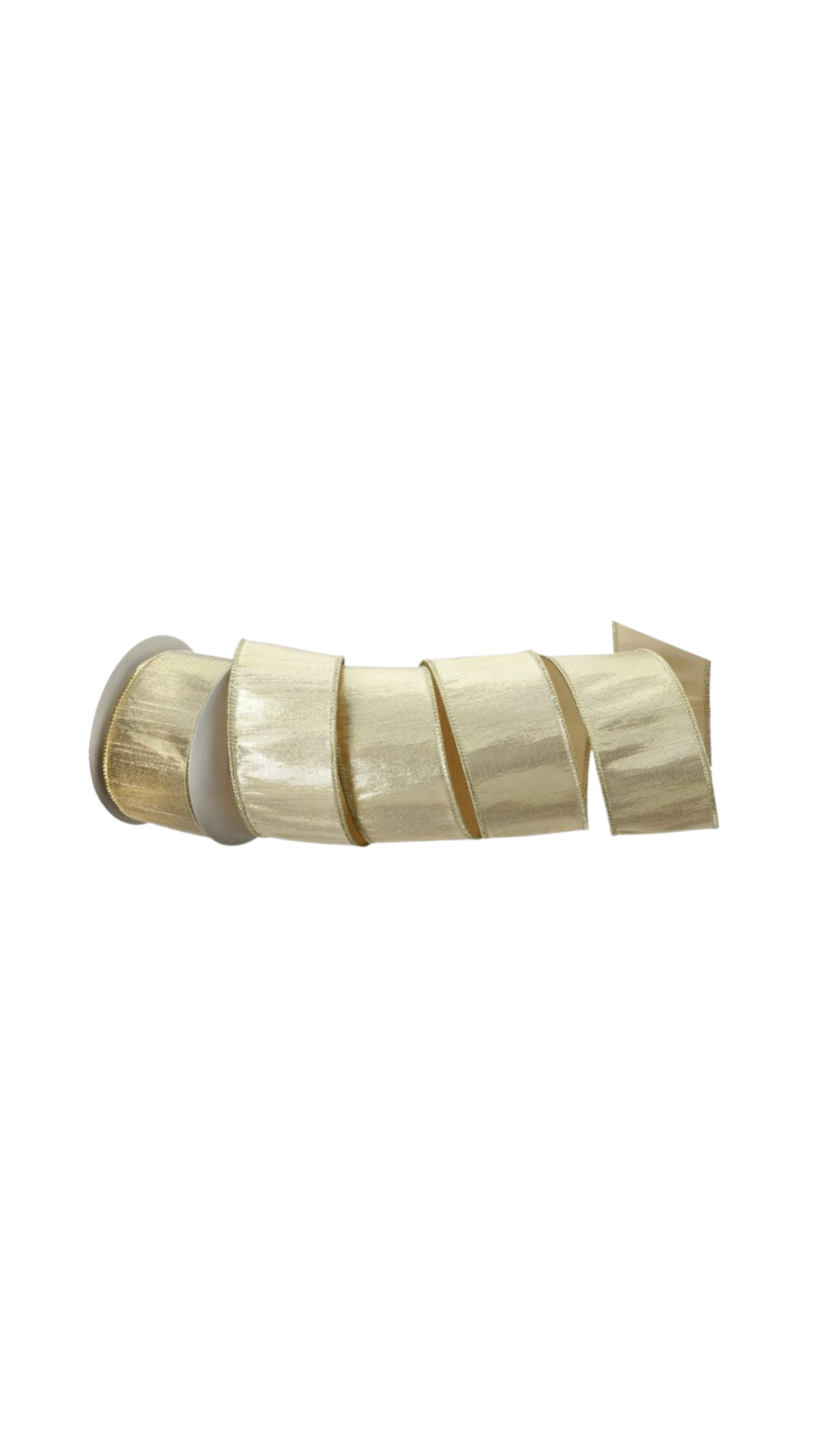 Metallic Dupion Ribbon - Champagne (2.5" x 10 yd), full view on white