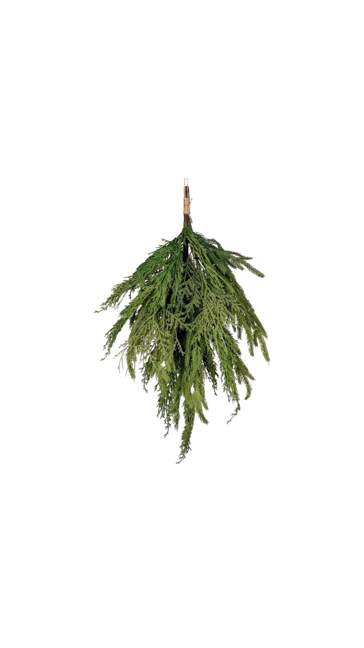 Cypress/Norfolk Pine Bundle - Natural Green (20"), full view on white