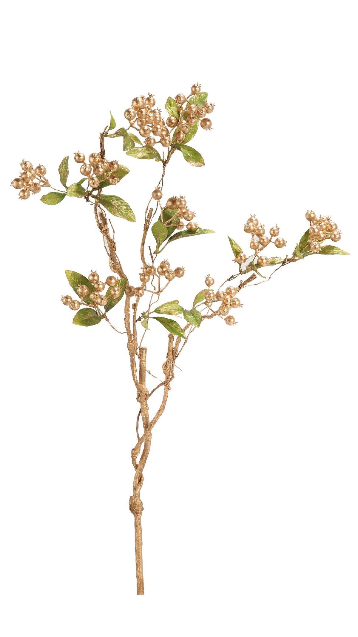 Berry Branch - Gold (27 in), full view on white