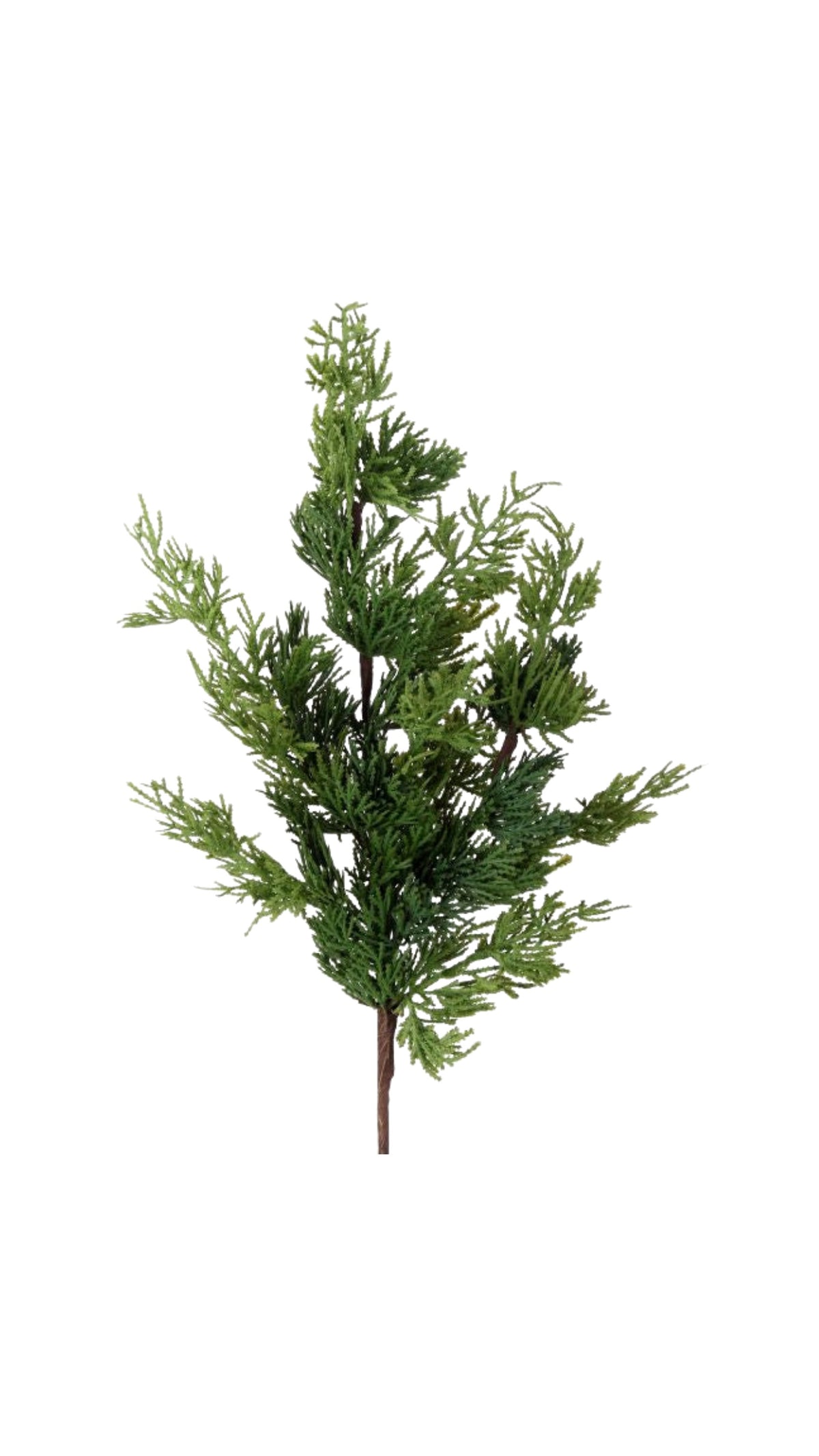 Real Touch Cedar Spray - Green (24") - The BLVD
