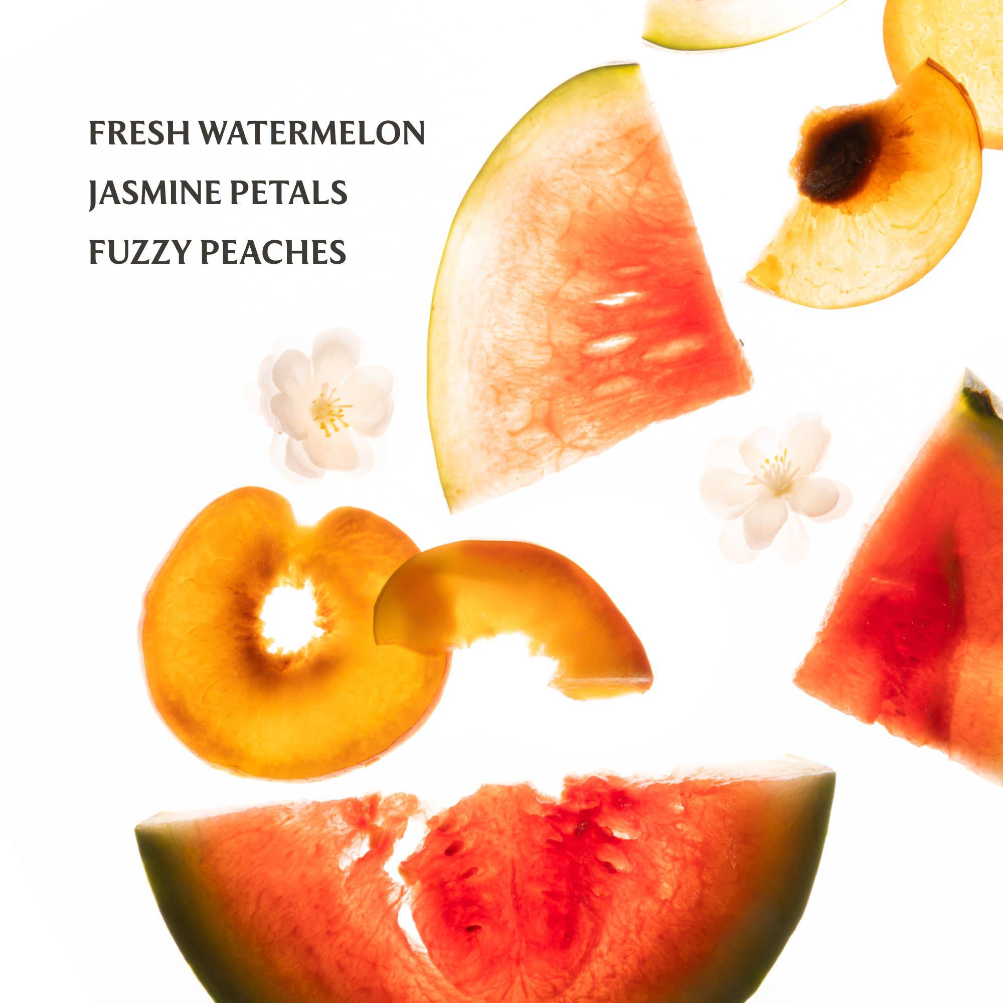 Wild Watermelon Hydrating Hand Sanitizer - The BLVD