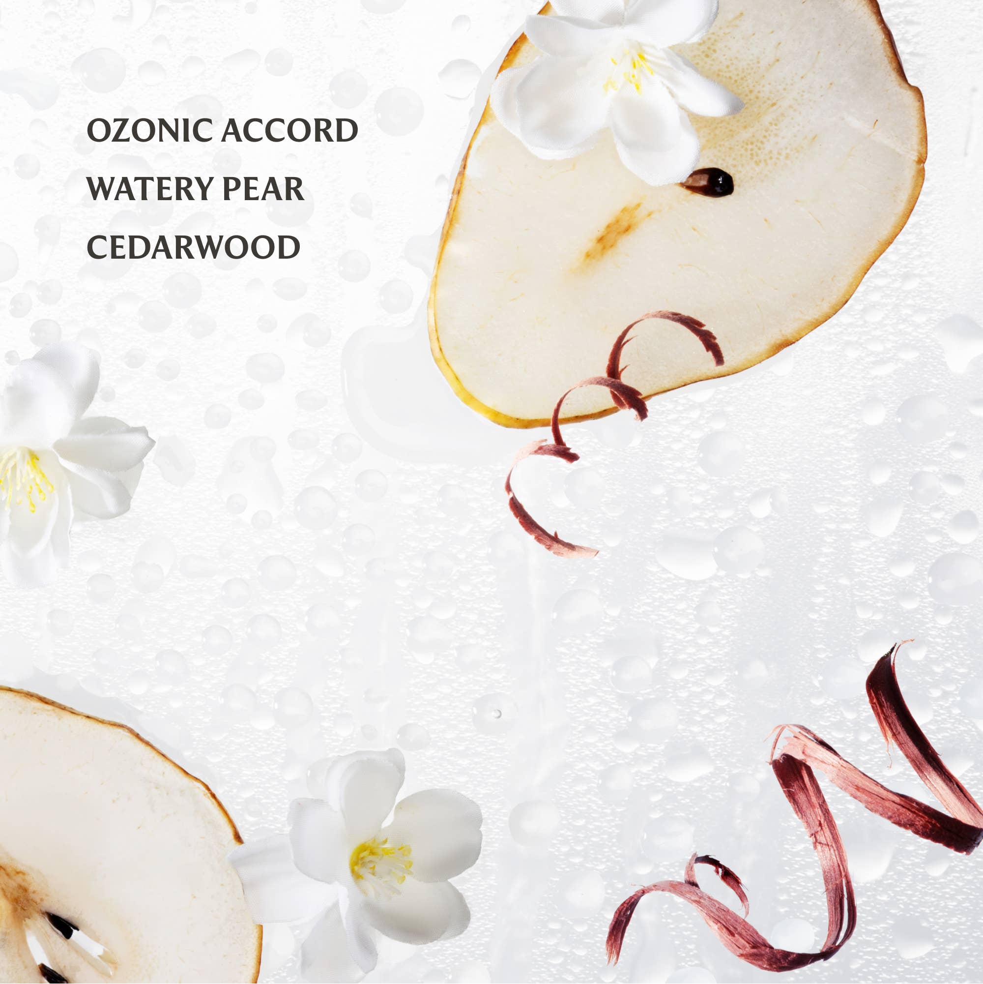 Rainwater Power Mist Hydrating Hand Sanitizer - The BLVD