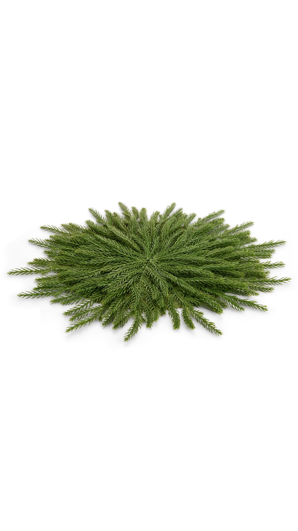 18 inch cedar greenery placemat, full view on white