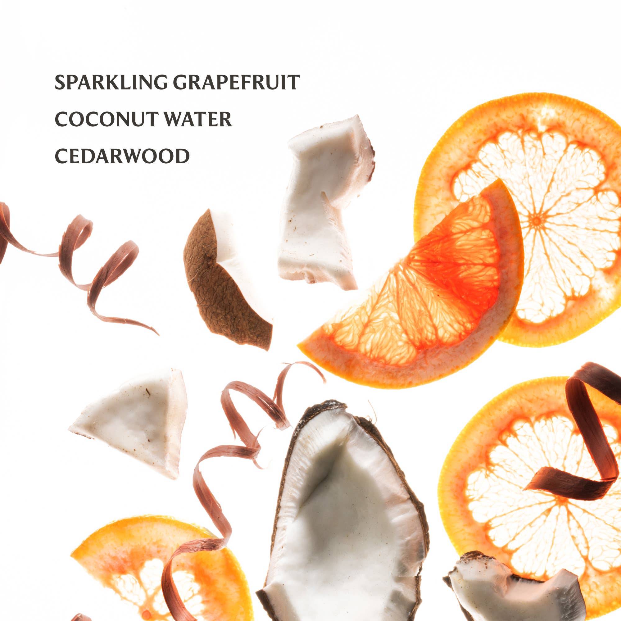 Beach Coco Hydrating Hand Sanitizer - The BLVD