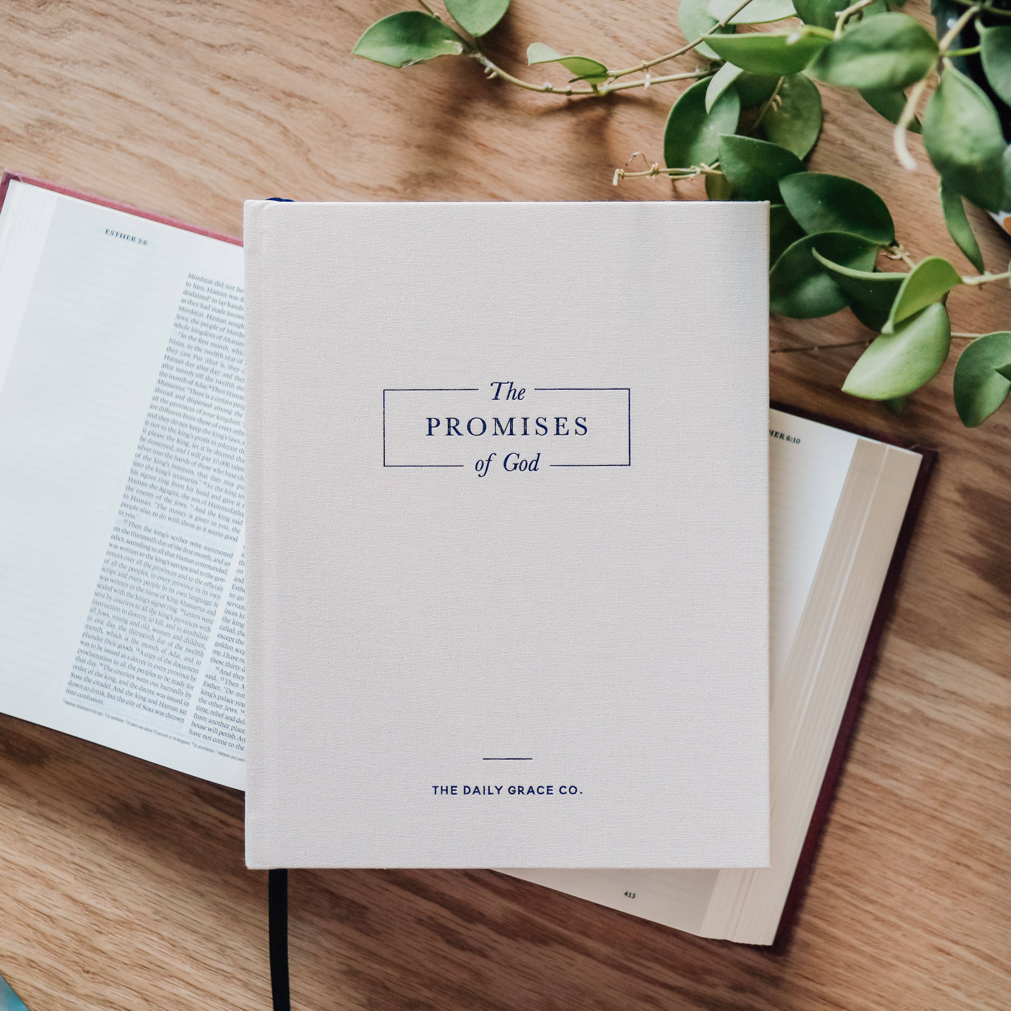 The Promises of God | Coffee Table Book - The BLVD