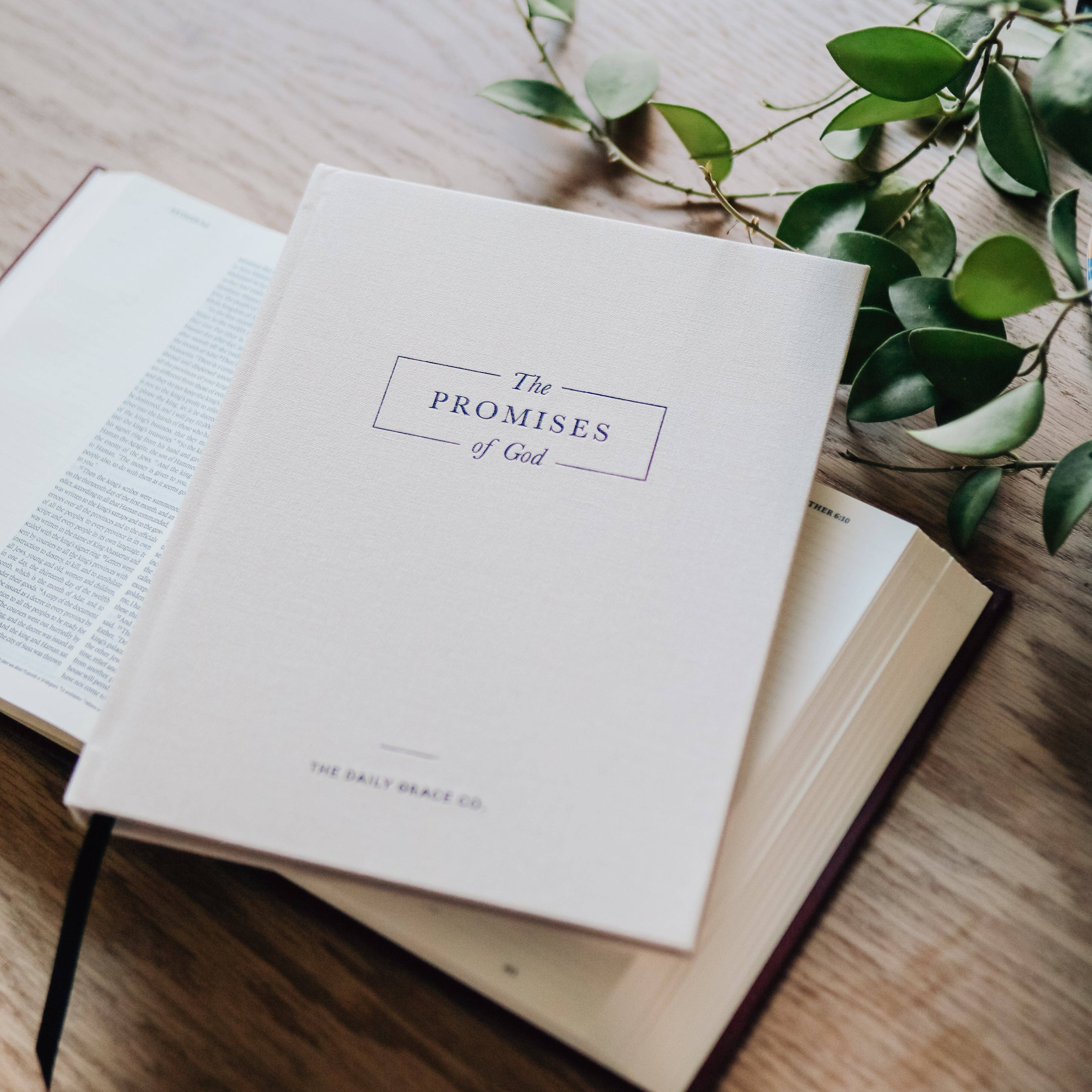 The Promises of God | Coffee Table Book - The BLVD
