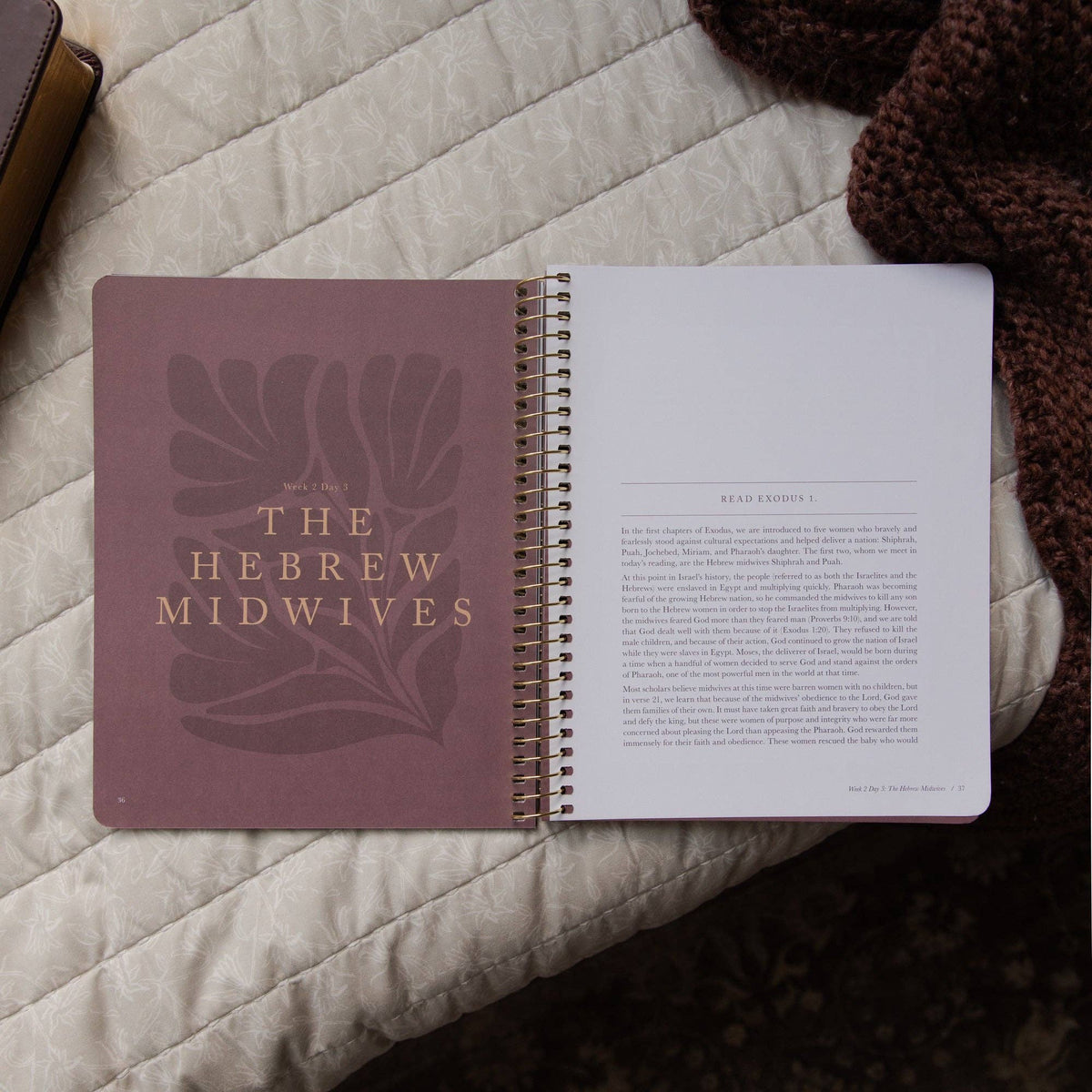 Daughters of Grace Spiral Bible Study
