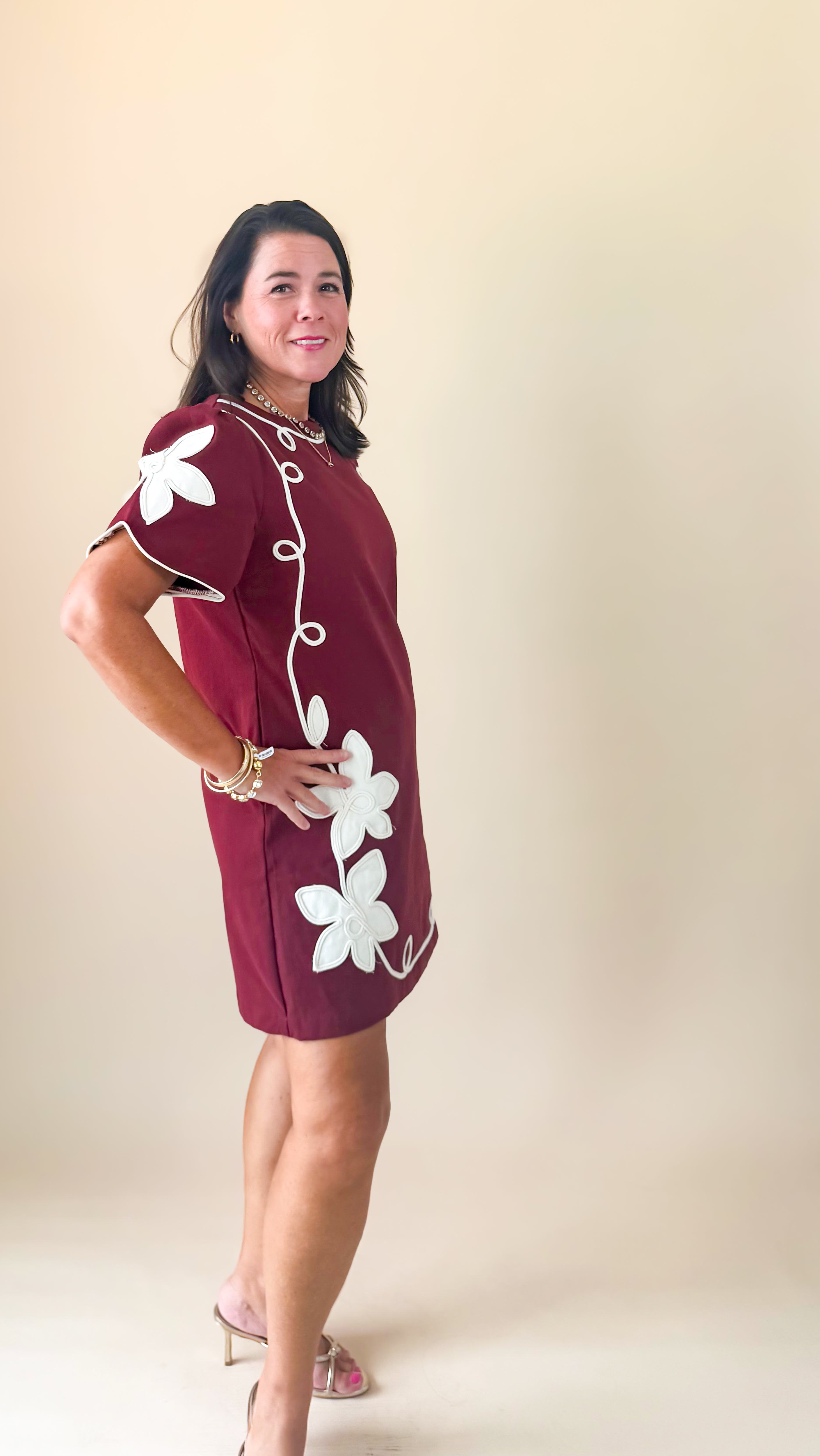 Embroidered Mini Dress/Merlot