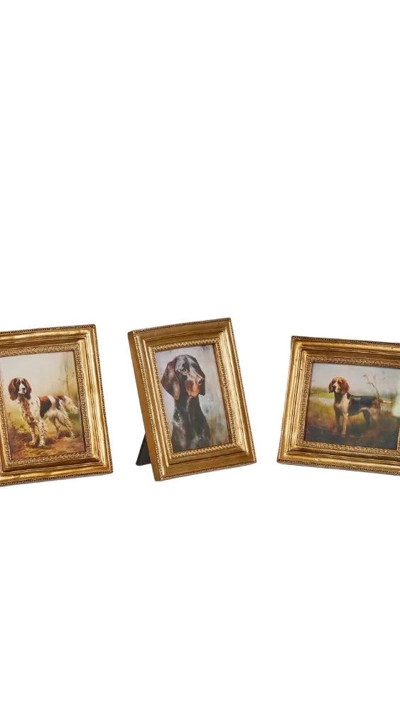 6" Vintage Bird Dog Framed Print - The BLVD