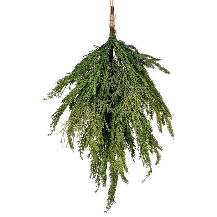 Cypress Norfolk Pine Bundle Natural Green - Regency