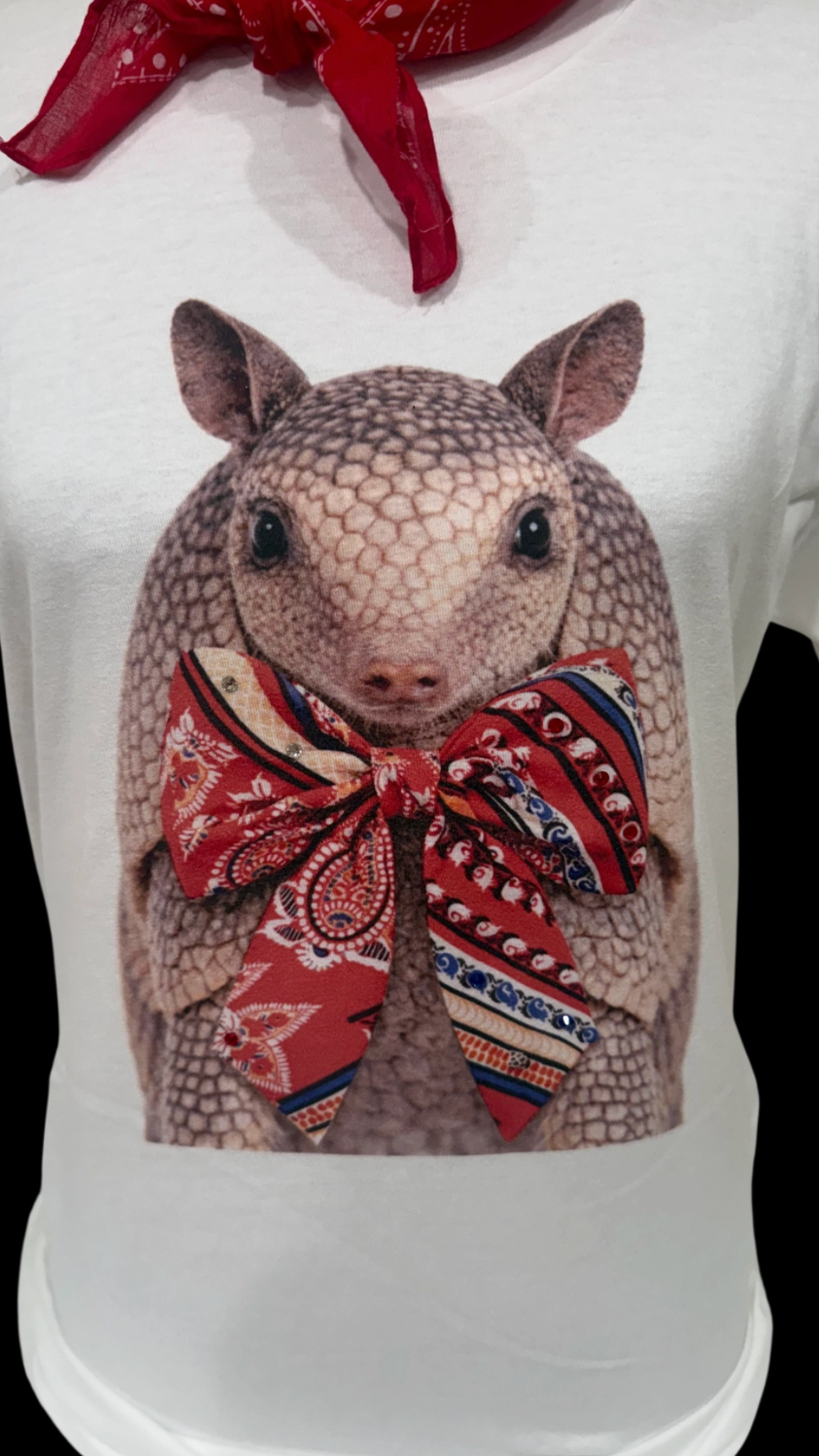 Patriotic Armadillo T-Shirt