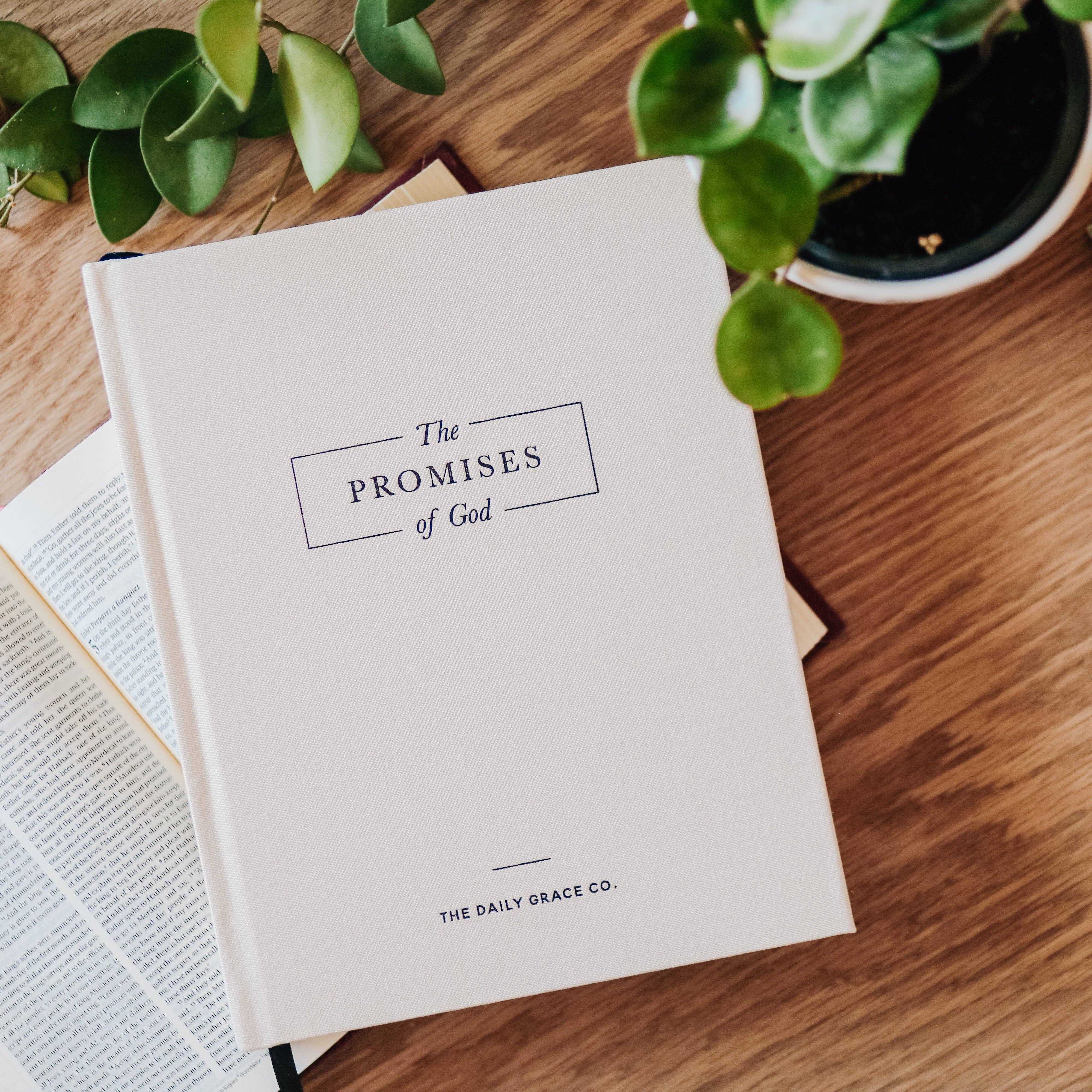 Promises of God coffee table book - spine view - BLVD Boutik