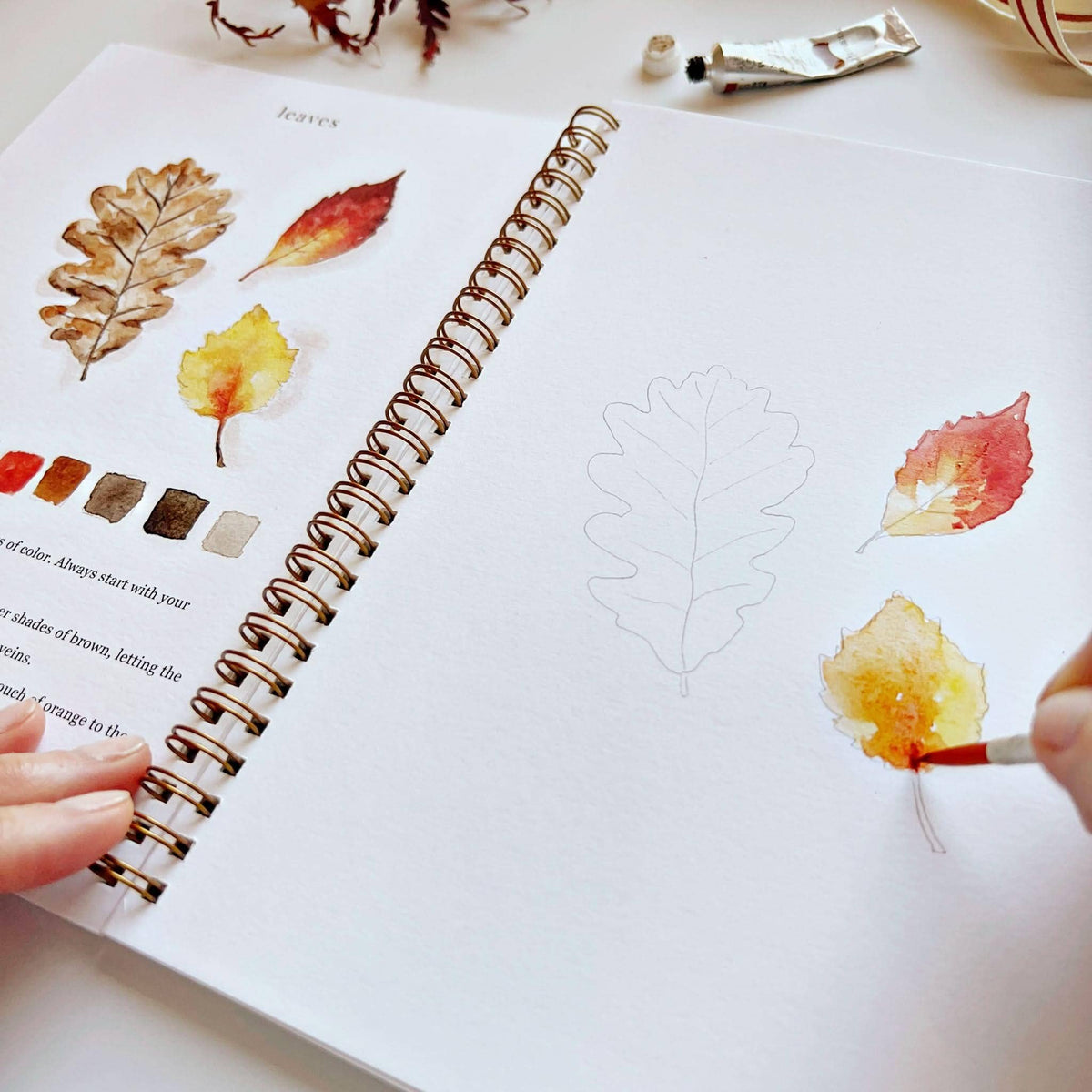 Painting autumn leaves in the watercolor workbook
