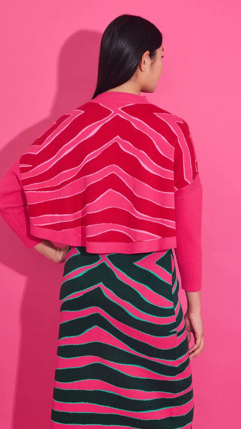 Leona Pink & Red Zebra Crop Sweater