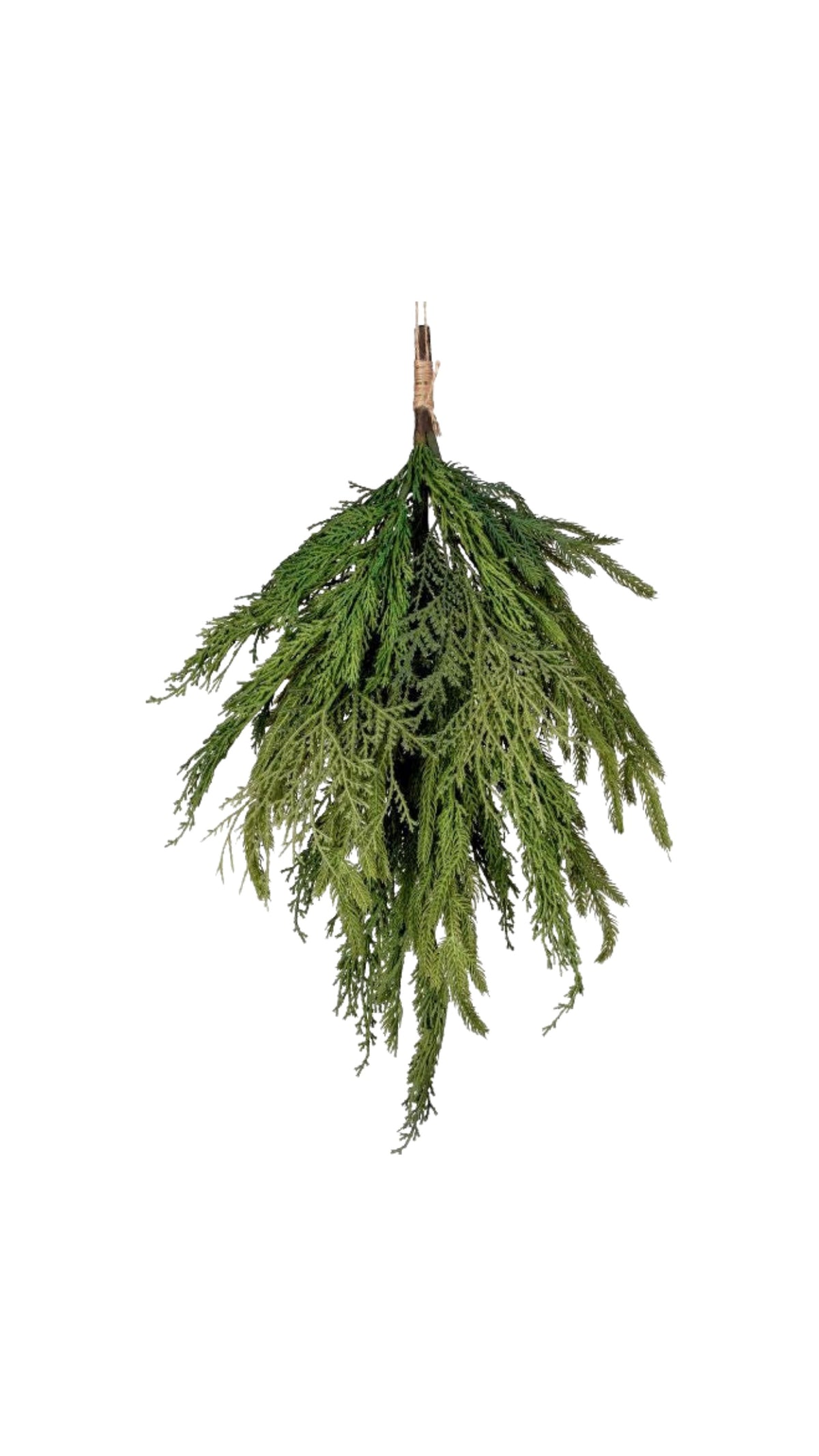 Cypress/Norfolk Pine Bundle - Natural Green (20") - The BLVD