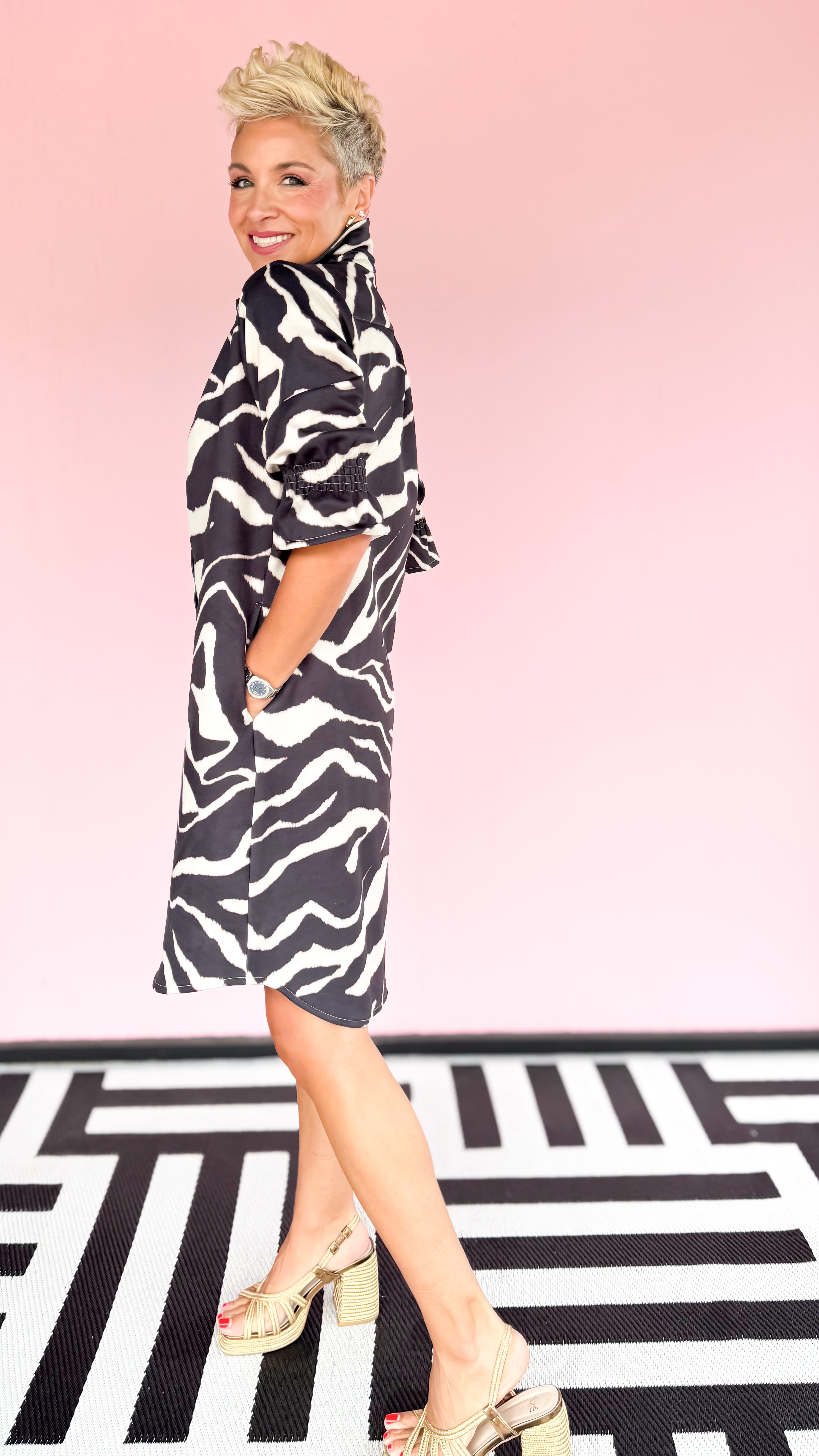 Liz Zebra 3/4 Sleeve Short Dress