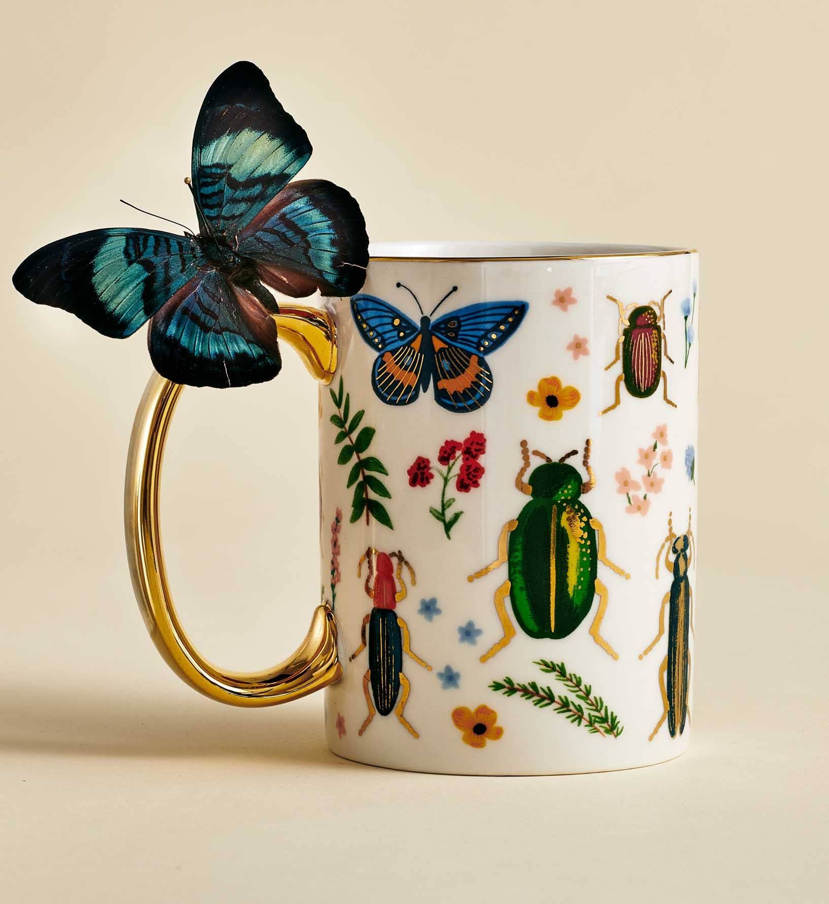 Curio Porcelain Mug