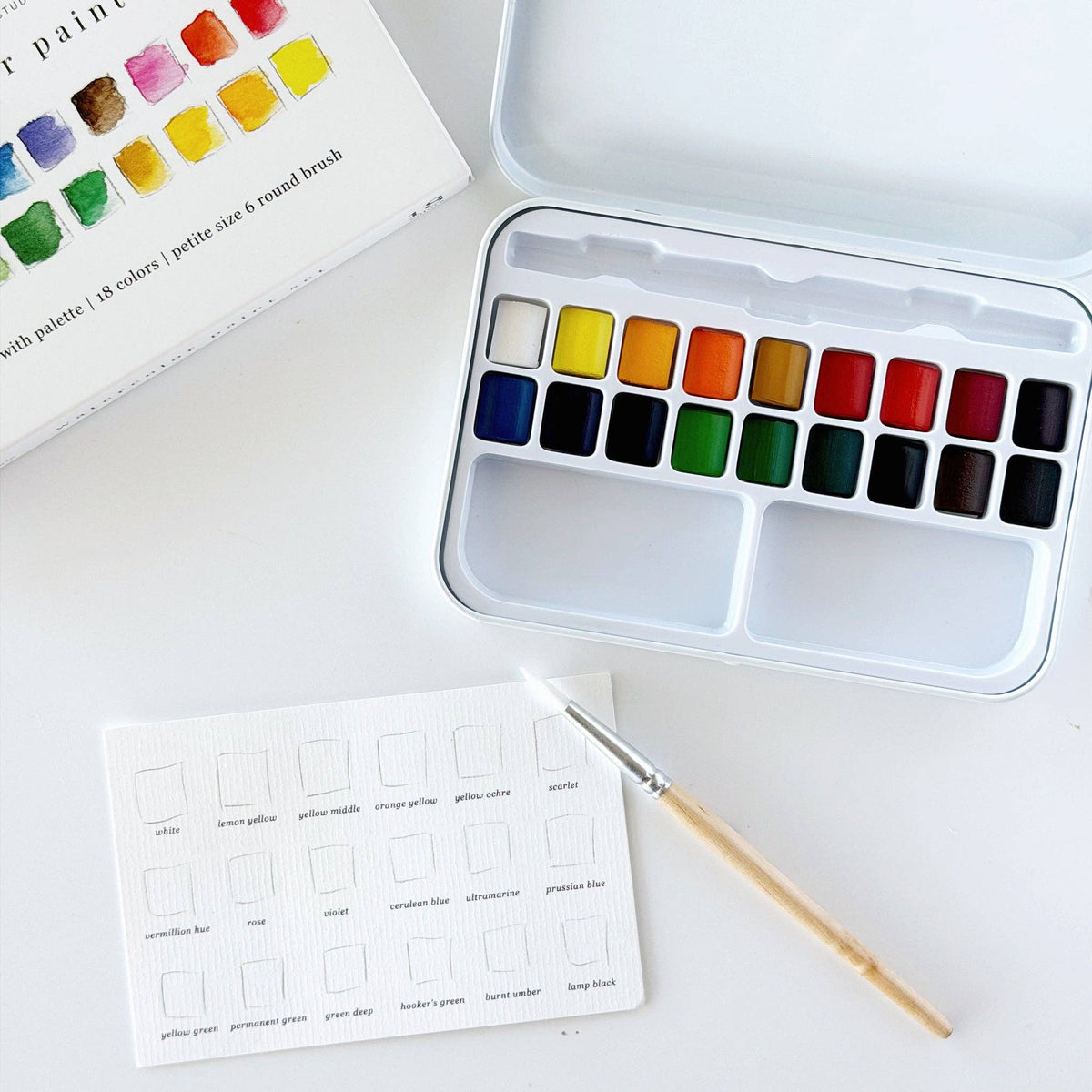 Watercolor paint set with brush and color swatch card