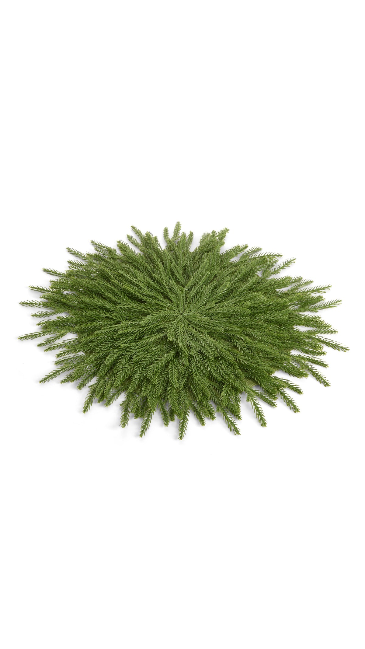 24 inch cedar greenery placemat, full view on white