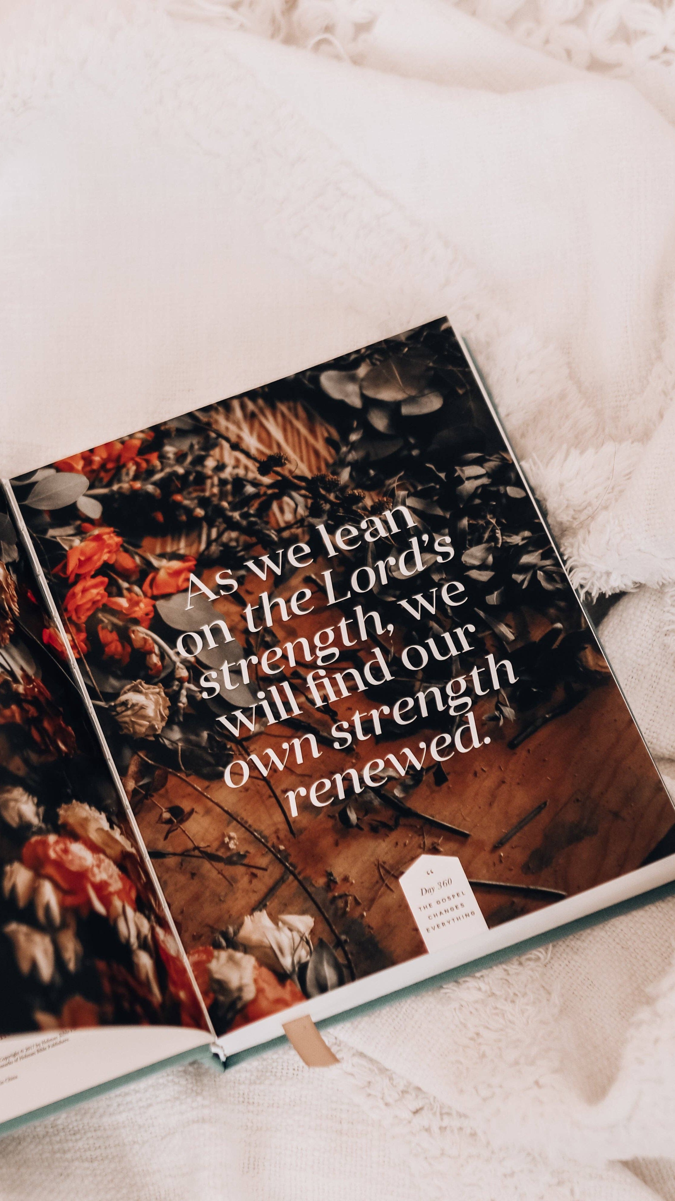 The Gospel Changes Everything | 365-Day Devotional - The BLVD