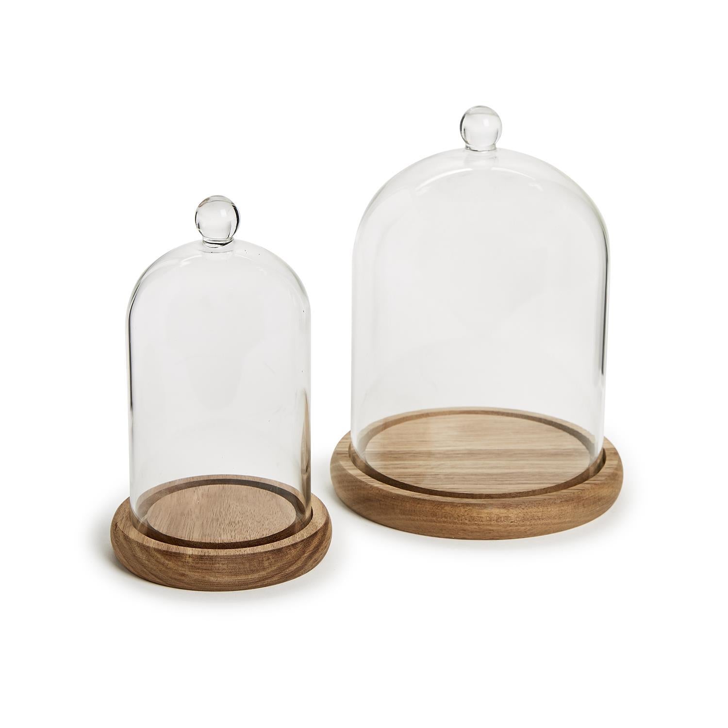 Cloche on Wood Base/Medium