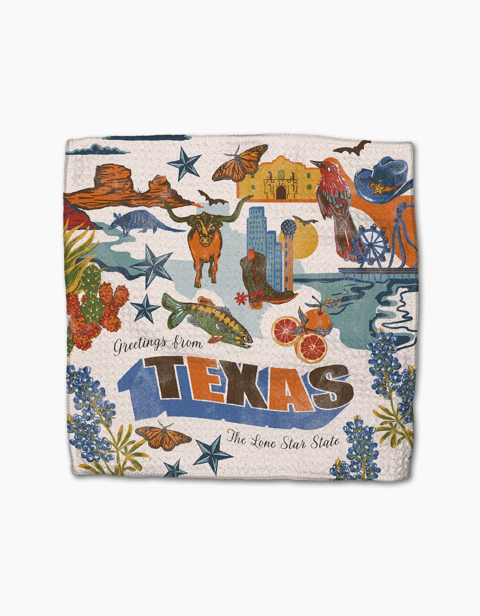 Greetings From Texas Dishcloth Set
