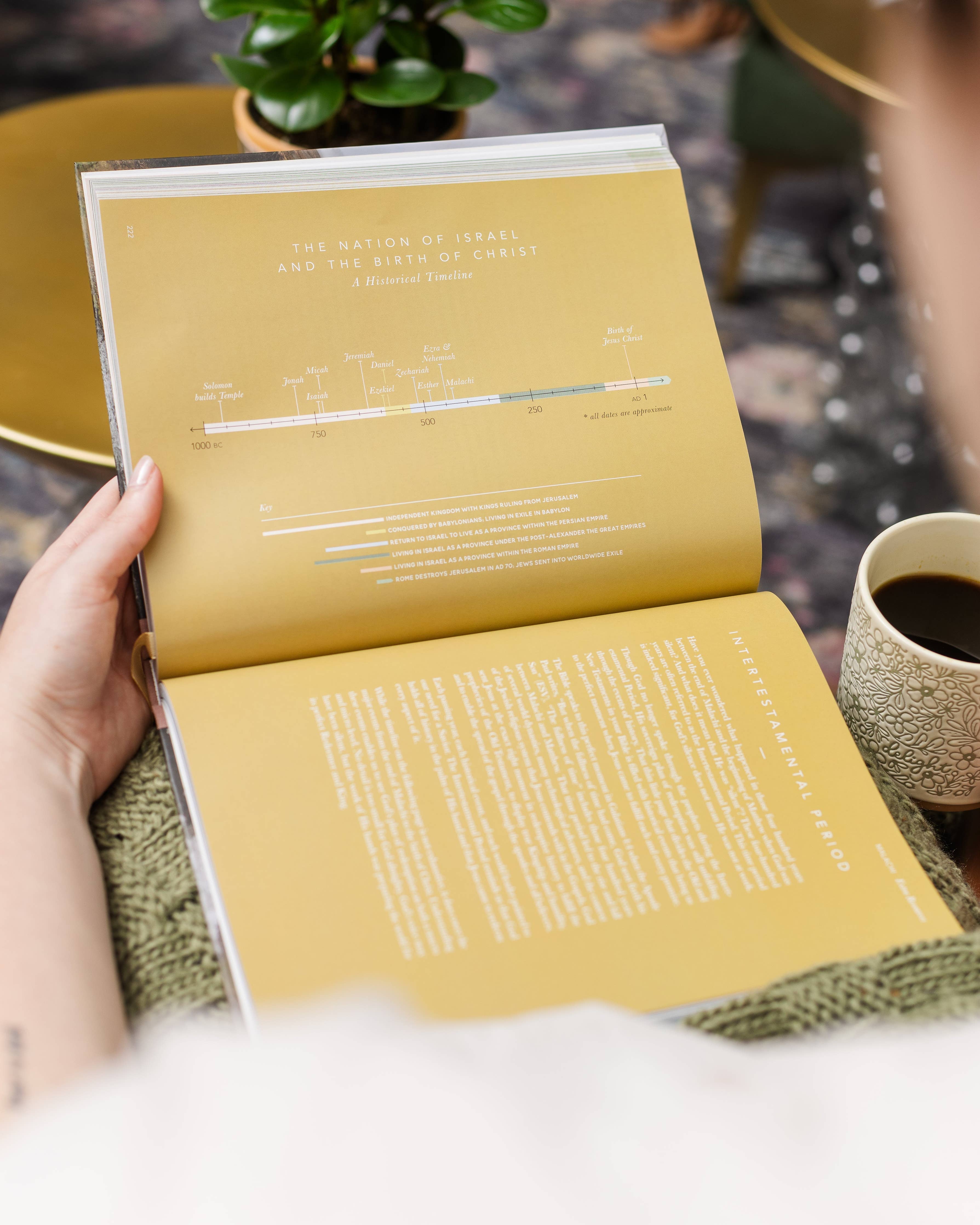 The Bible Handbook coffee table book product photo - alternate view - BLVD Boutik