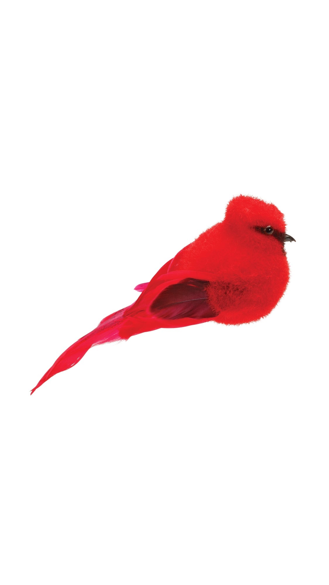 Red feathered cardinal ornament, front view