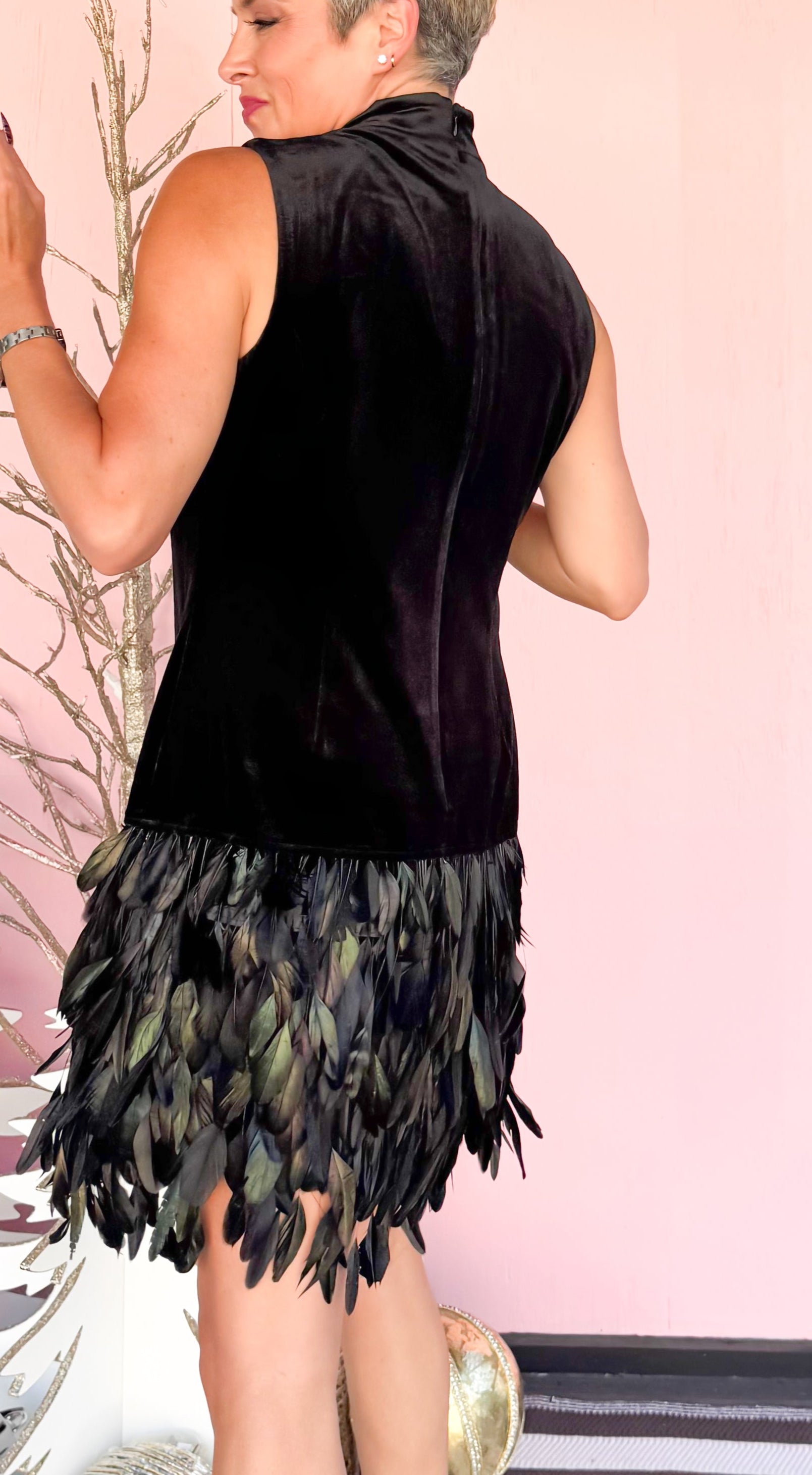 Colette Feather Trim Velvet Dress/Black