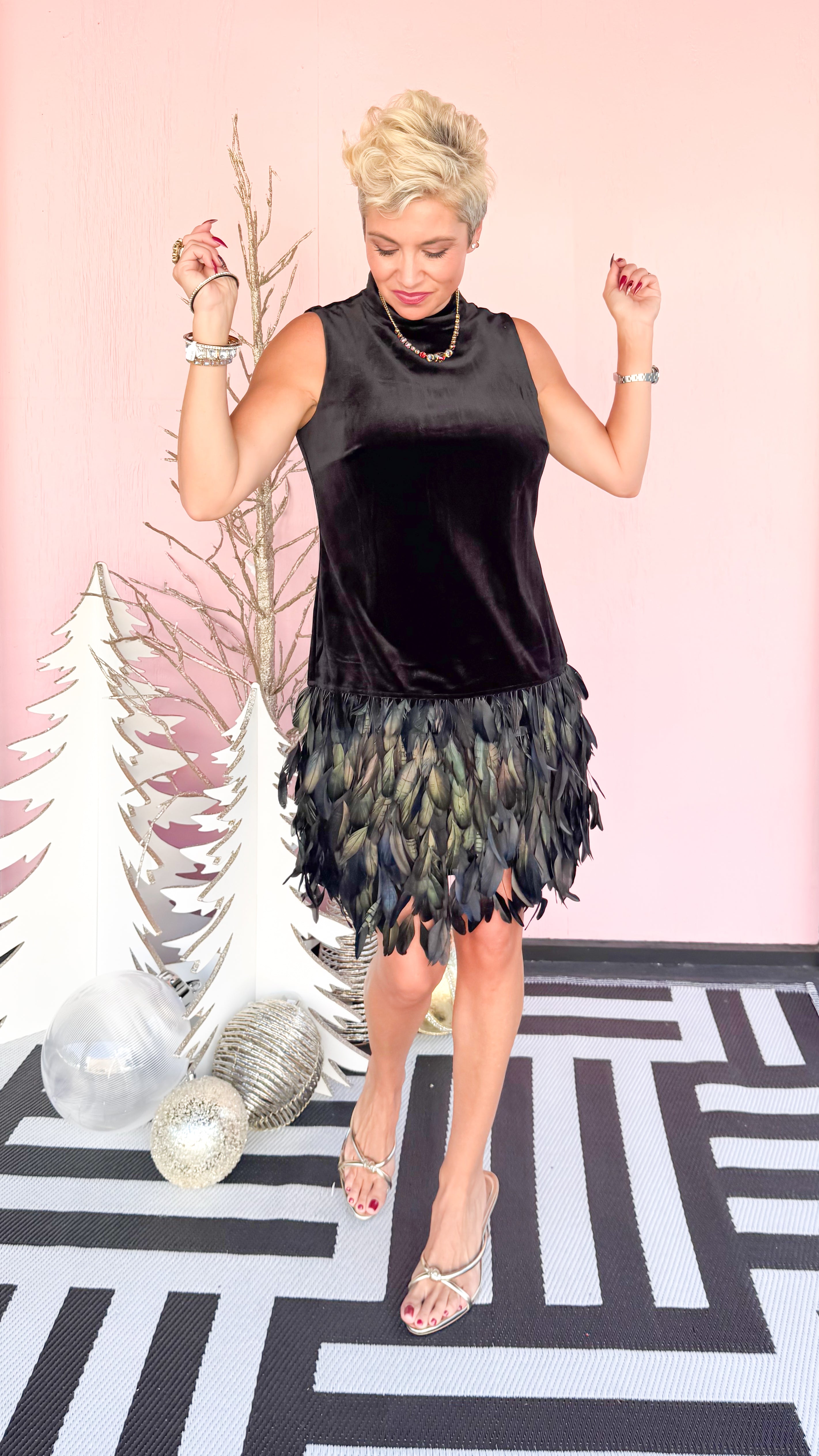 Colette Feather Trim Velvet Dress/Black