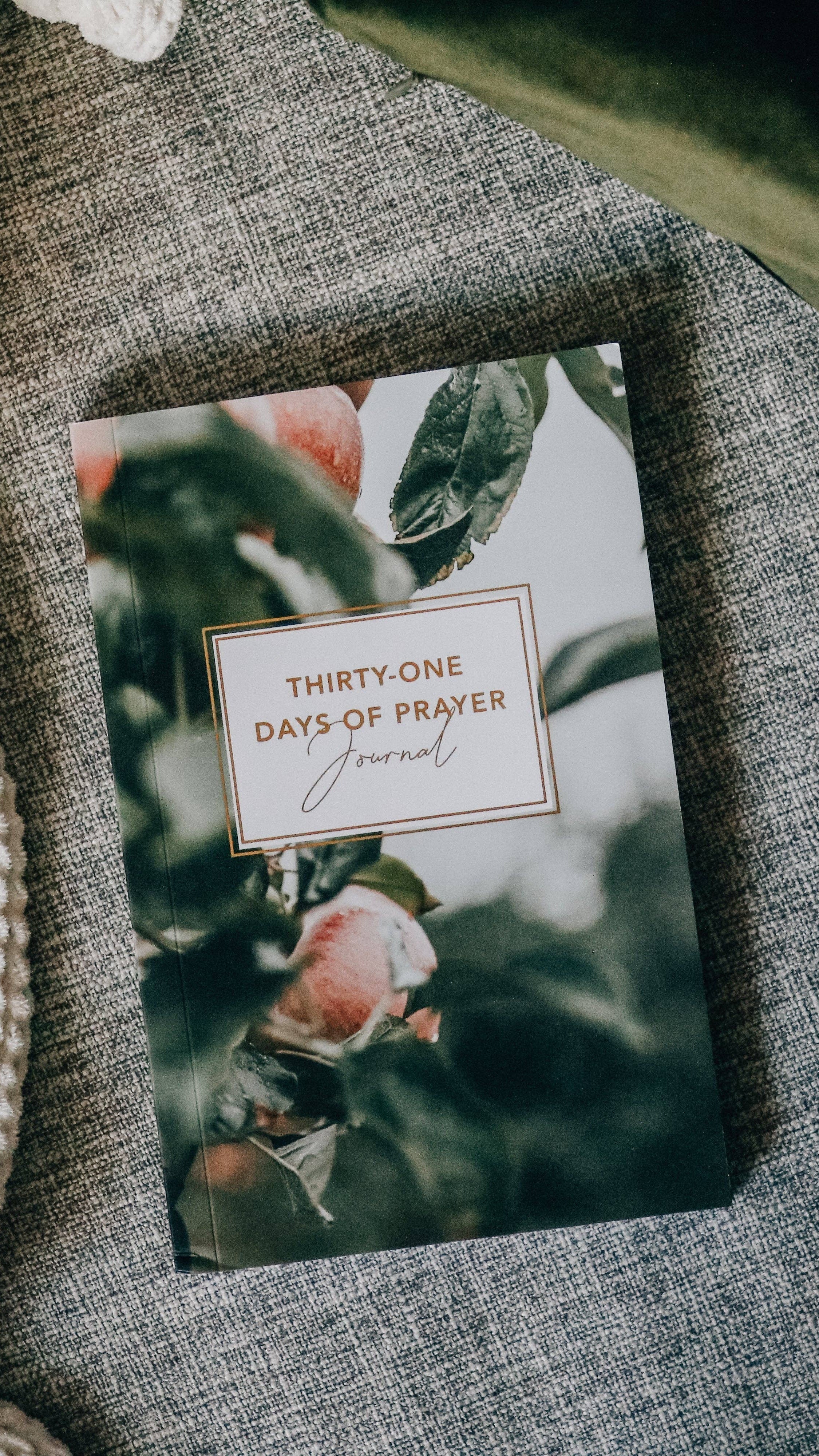 Thirty-One Days of Prayer Journal