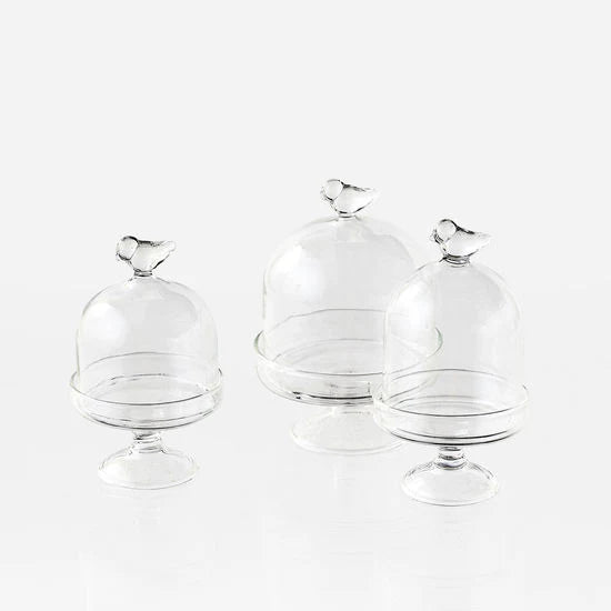 Mini Bird Dome