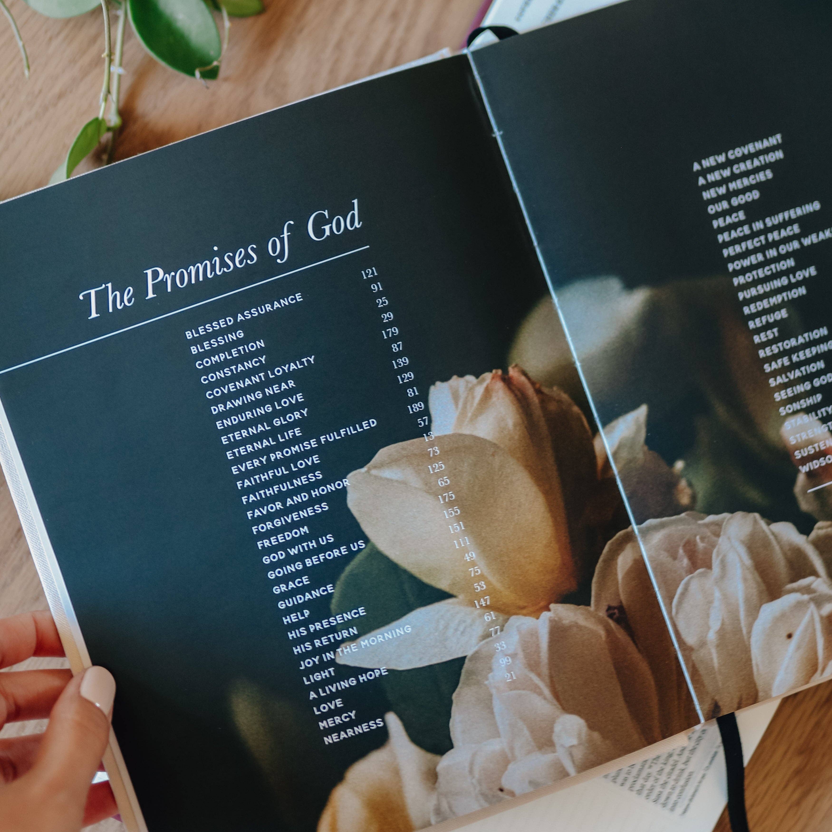 Promises of God coffee table book - full view - BLVD Boutik