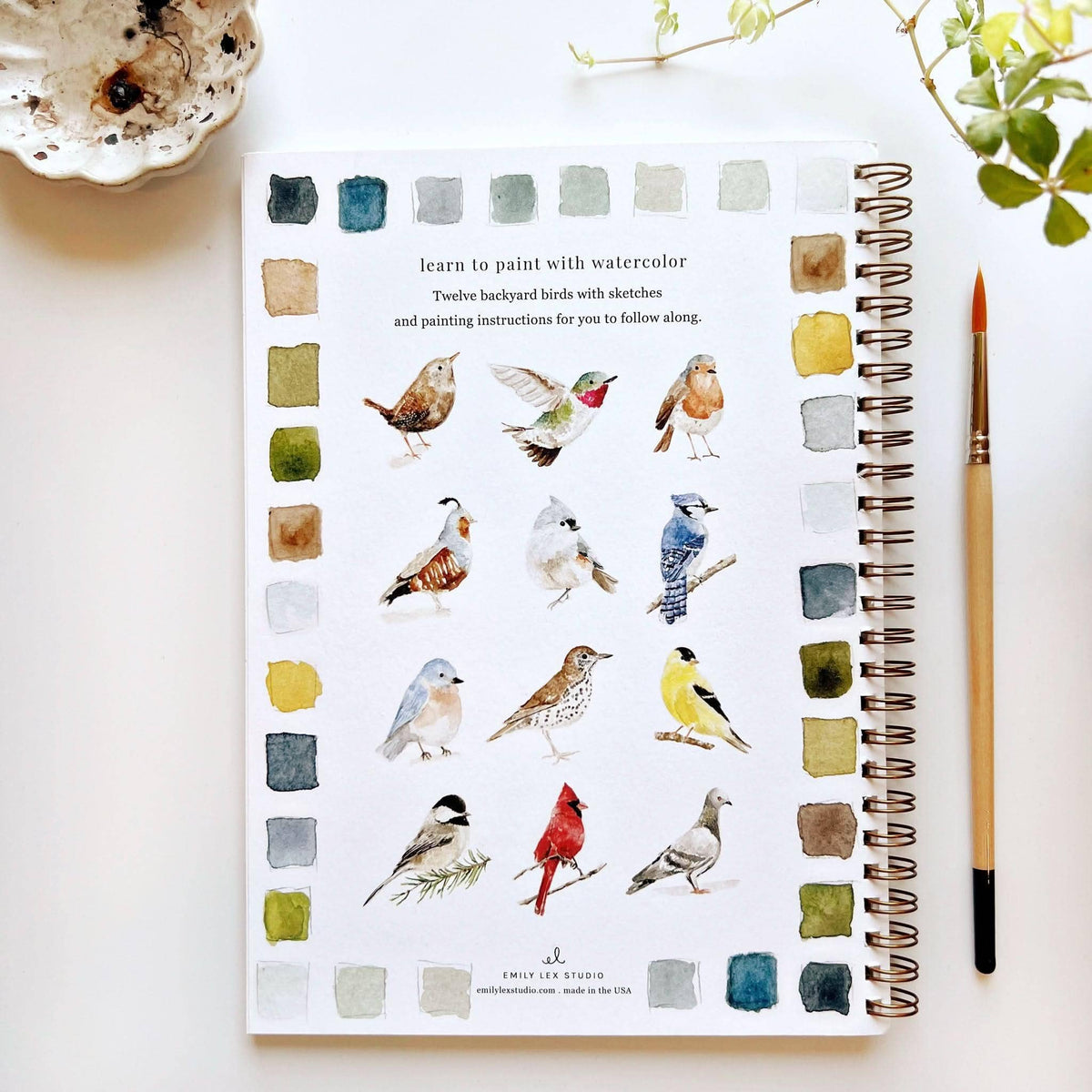Birds watercolor workbook back cover showing bird projects