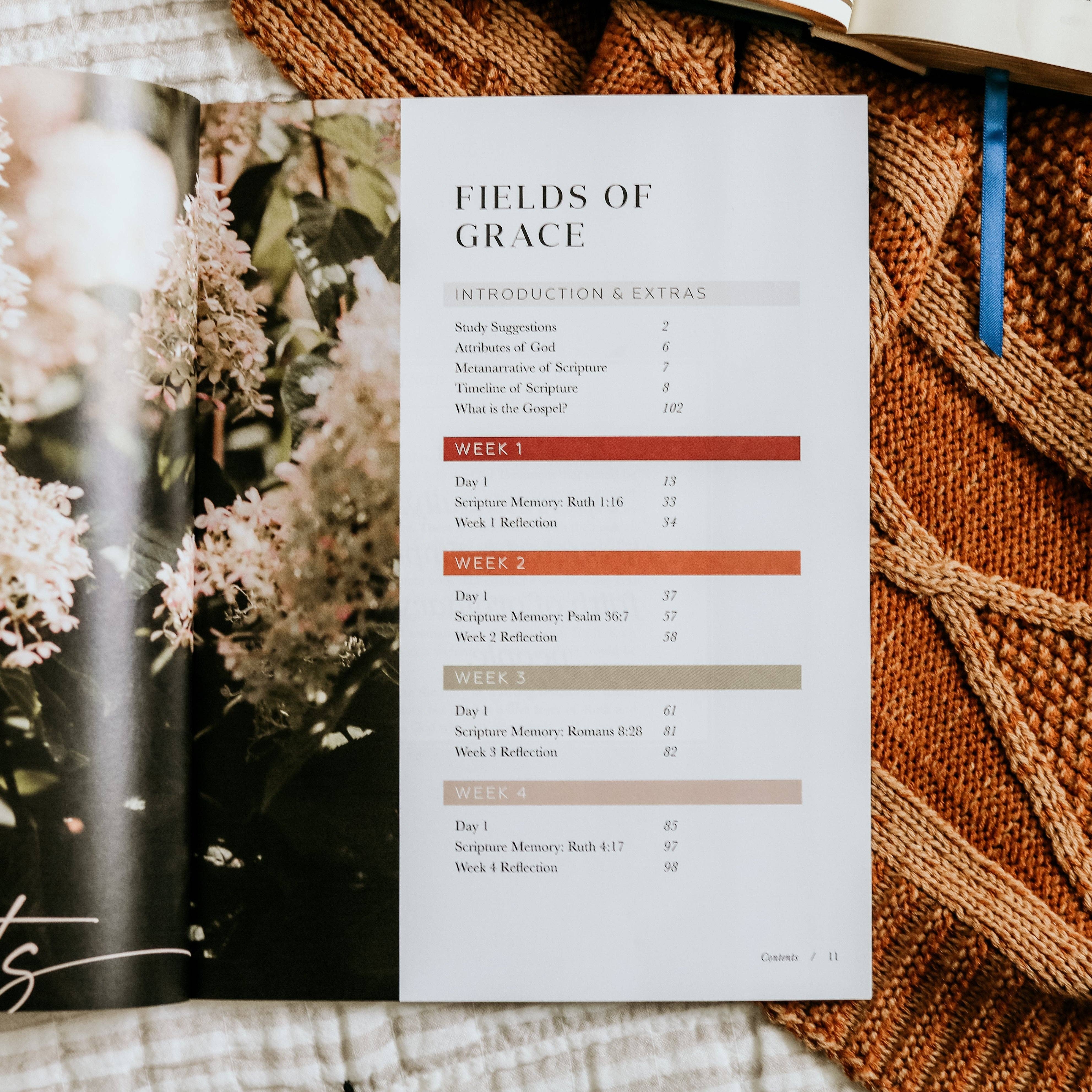 Ruth Study | Fields of Grace - The BLVD